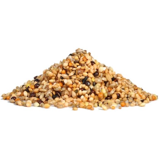 RIO Biscuits with Wild Berries | 150 g | Supplementary Feed for Ornamental Birds | Treats for Lots of Variety | With Eggs and Cereals | Suitable for Molting and Breeding Birds RIO Biscuits with Wild Berries | 150 g | Supplementary Feed for Ornamental Birds | Treats for Lots of Variety | With Eggs and Cereals | Suitable for Molting and Breeding Birds