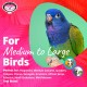 18 by 4-Inch Olympic Rings Bird Toy, Large 18 by 4-Inch Olympic Rings Bird Toy, Large
