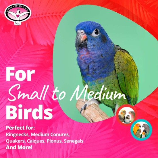 Mini Activity Wall Toy for Birds Mini Activity Wall Toy for Birds