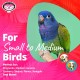 Mini Activity Wall Toy for Birds Mini Activity Wall Toy for Birds