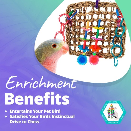 Mini Activity Wall Toy for Birds Mini Activity Wall Toy for Birds