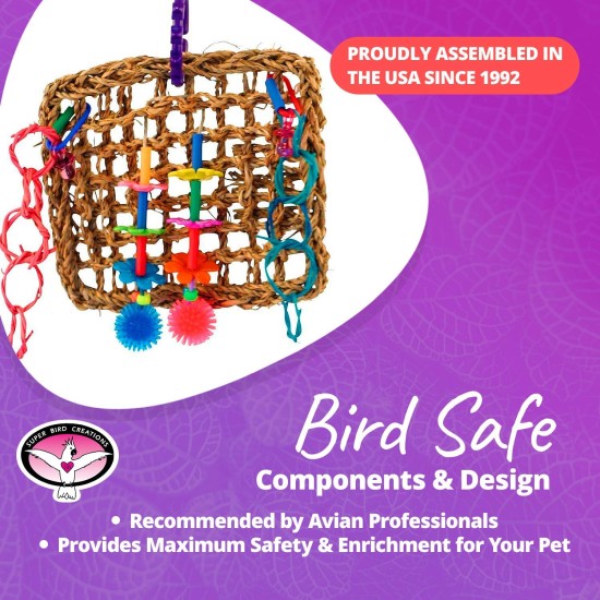 Mini Activity Wall Toy for Birds Mini Activity Wall Toy for Birds
