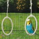 Relaxdays Bird Swing Set of 2, Climbing Bird, 15 cm, Budgie Rings, Bird Toy with Carabiner, Natural Relaxdays Bird Swing Set of 2, Climbing Bird, 15 cm, Budgie Rings, Bird Toy with Carabiner, Natural