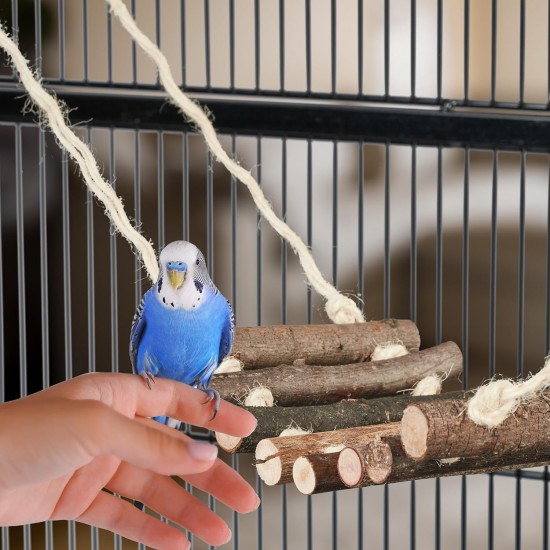 Relaxdays Bird Toy, Wooden Ladder, Coconut Shell, Bird Cage Accessories for Budgies, Canaries, Bird Nest, Natural Relaxdays Bird Toy, Wooden Ladder, Coconut Shell, Bird Cage Accessories for Budgies, Canaries, Bird Nest, Natural