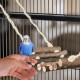 Relaxdays Bird Toy, Wooden Ladder, Coconut Shell, Bird Cage Accessories for Budgies, Canaries, Bird Nest, Natural Relaxdays Bird Toy, Wooden Ladder, Coconut Shell, Bird Cage Accessories for Budgies, Canaries, Bird Nest, Natural
