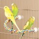 WJ JW Comfy Perch, Large, 36-Inch WJ JW Comfy Perch, Large, 36-Inch