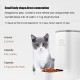 3.8 Pack Automatic Fountain Feeder Water Dispenser Dog Cat Food Accessories Pet Bowl BPA Free 3.8 Pack Automatic Fountain Feeder Water Dispenser Dog Cat Food Accessories Pet Bowl BPA Free
