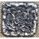 45 x 45 cm Non-Slip Washable Cat Snuffle Mat, Promotes the Nature of Foraging and Snuffle Mat, Dog Food Mat 45 x 45 cm Non-Slip Washable Cat Snuffle Mat, Promotes the Nature of Foraging and Snuffle Mat, Dog Food Mat