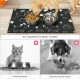 APOMOONS Pack of 2 Dog Bowl Mat, Non-Slip Feeding Mat, Dog/Cat, Feeding Bowl Mat, Absorbent Quick Drying for Pets, Dogs, Cats (29 x 49 cm) APOMOONS Pack of 2 Dog Bowl Mat, Non-Slip Feeding Mat, Dog/Cat, Feeding Bowl Mat, Absorbent Quick Drying for Pets, Dogs, Cats (29 x 49 cm)