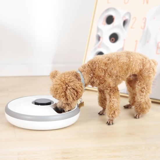 Amazon Basics - Automatic Feeder with Cool Pack, 31.5 x 31.5 x 8.3 cm, White Amazon Basics - Automatic Feeder with Cool Pack, 31.5 x 31.5 x 8.3 cm, White