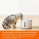 Amazon Basics Cat Fountain Filter for Cat Drinking Fountain 6 Pack Amazon Basics Cat Fountain Filter for Cat Drinking Fountain 6 Pack