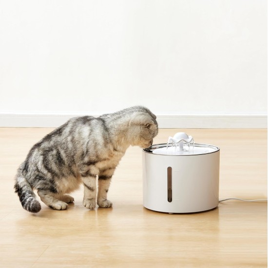 Amazon Basics Cat Fountain Filter for Cat Drinking Fountain 6 Pack Amazon Basics Cat Fountain Filter for Cat Drinking Fountain 6 Pack