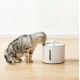 Amazon Basics Cat Fountain Filter for Cat Drinking Fountain 6 Pack Amazon Basics Cat Fountain Filter for Cat Drinking Fountain 6 Pack
