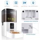 Automatic Cat Feeder, 3 L Cat Food, 2.4G WiFi Cat Feeder, App Control with Cat Feeder, 1 to 10 Meals per Day, Suitable for Dogs and Cats, Black