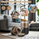 Automatic Cat Feeder 4L Cat Food Automatic with Stainless Steel Bowl and Timer, 1-4 Meals a Day Cat Feeder for Small and Medium Pets Automatic Cat Feeder 4L Cat Food Automatic with Stainless Steel Bowl and Timer, 1-4 Meals a Day Cat Feeder for Small and Medium Pets