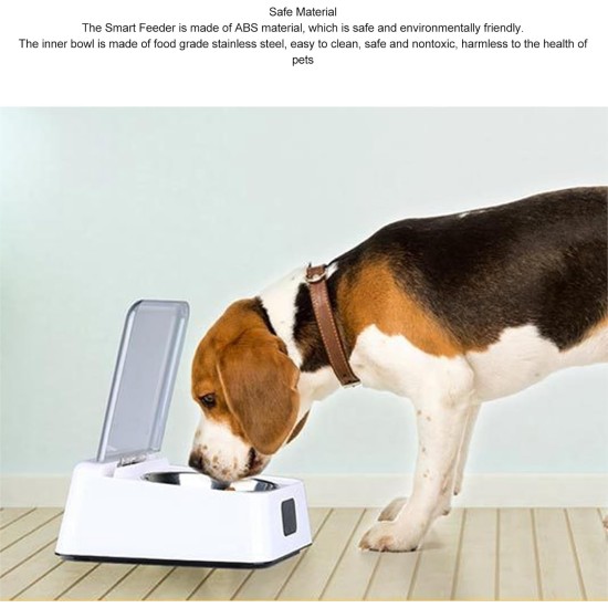 Automatic Cat Feeder Automatic Opening Lid Removable Automatic Cat Feeder Infrared Sensor Automatic Pet Feeder Automatic Cat Feeder Automatic Opening Lid Removable Automatic Cat Feeder Infrared Sensor Automatic Pet Feeder