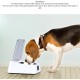 Automatic Cat Feeder Automatic Opening Lid Removable Automatic Cat Feeder Infrared Sensor Automatic Pet Feeder Automatic Cat Feeder Automatic Opening Lid Removable Automatic Cat Feeder Infrared Sensor Automatic Pet Feeder