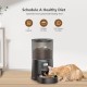 Automatic Cat Feeder Timed Dog Feeder 4L Programmable Control 1-6 Meals Dry Food Dispenser for Pets with Desiccant Bag for Cats