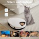 Automatic Cat Feeder Wet Food with Cooling, 1-4 Days Fresh Preservation, Semiconductor Cooling, Quick Chills Sauce, Wet Food, Dry Food, Cat Feeder, 5 Meal Cat Dog Cat Food Automatic Automatic Cat Feeder Wet Food with Cooling, 1-4 Days Fresh Preservation, Semiconductor Cooling, Quick Chills Sauce, Wet Food, Dry Food, Cat Feeder, 5 Meal Cat Dog Cat Food Automatic