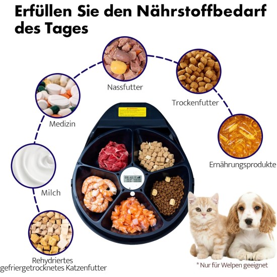 Automatic Cat Feeder Wet Food with Cooling, 1-4 Days Fresh Preservation, Semiconductor Cooling, Quick Chills Sauce, Wet Food, Dry Food, Cat Feeder, 5 Meal Cat Dog Cat Food Automatic Automatic Cat Feeder Wet Food with Cooling, 1-4 Days Fresh Preservation, Semiconductor Cooling, Quick Chills Sauce, Wet Food, Dry Food, Cat Feeder, 5 Meal Cat Dog Cat Food Automatic