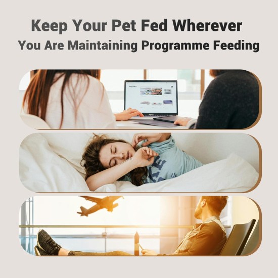 Automatic Cat Feeder WiFi 2.4G: App Control Dry Food Dispenser for 2 Small Dogs and Cats 4L, Programmable Timer, 1-10 Meals a Day, Desiccant Bag Automatic Cat Feeder WiFi 2.4G: App Control Dry Food Dispenser for 2 Small Dogs and Cats 4L, Programmable Timer, 1-10 Meals a Day, Desiccant Bag