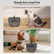 Automatic Cat Feeder and Cat Water Dispenser FW1, Wire or Battery Cat Feeder Timer Pet Feeder - Lockable Lid, Desiccant Bag, Programmable Portion Control