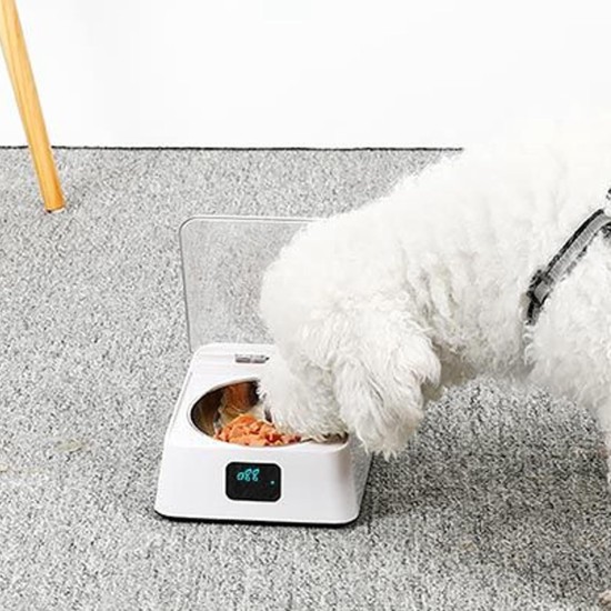 Automatic Cat Feeder with Removable Bowl, Intelligent Automatic Opening Lid for Dogs with Infrared Sensor Automatic Cat Feeder with Removable Bowl, Intelligent Automatic Opening Lid for Dogs with Infrared Sensor