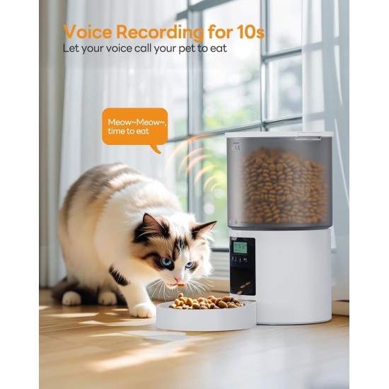 Automatic Cat Feeder with Timer: 10s Call for Eating - Feeding Bowl with Automatic Feeder 4L Dry Food Dispenser Automatic for Cats and Dogs Automatic Cat Feeder with Timer: 10s Call for Eating - Feeding Bowl with Automatic Feeder 4L Dry Food Dispenser Automatic for Cats and Dogs