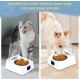 Automatic Cat Food Dispenser, 350 ml, Induction Lid Opening, Pet Feeder, Smart Feed, Automatic Feeder Cat Feeder with Digital Display for Cats and Dogs Automatic Cat Food Dispenser, 350 ml, Induction Lid Opening, Pet Feeder, Smart Feed, Automatic Feeder Cat Feeder with Digital Display for Cats and Dogs