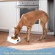 Automatic Cat Food Dispenser, 350 ml, Induction Lid Opening, Pet Feeder, Smart Feed, Automatic Feeder Cat Feeder with Digital Display for Cats and Dogs Automatic Cat Food Dispenser, 350 ml, Induction Lid Opening, Pet Feeder, Smart Feed, Automatic Feeder Cat Feeder with Digital Display for Cats and Dogs