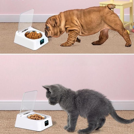 Automatic Cat Food Dispenser, Cat Feeder for Feeding, Intelligent Automatic Pet Feeder, Battery Operated Automatic Cat Feeder Automatic Cat Food Dispenser, Cat Feeder for Feeding, Intelligent Automatic Pet Feeder, Battery Operated Automatic Cat Feeder
