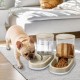 Automatic Dog Cat Feeder Water Dispenser Feeder and Water Dispenser 3.8L 2 in 1 Cat Food Water Dispenser for Small Medium Large Pets (Gold) Automatic Dog Cat Feeder Water Dispenser Feeder and Water Dispenser 3.8L 2 in 1 Cat Food Water Dispenser for Small Medium Large Pets (Gold)