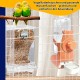 Automatic Feeder Birds and Water Dispenser Transparent Acrylic Bird Feeder and Bird Water Dispenser Bird Cage, Cage Accessories for Birds, Parrots, Canaries (Orange) Automatic Feeder Birds and Water Dispenser Transparent Acrylic Bird Feeder and Bird Water Dispenser Bird Cage, Cage Accessories for Birds, Parrots, Canaries (Orange)