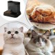 Automatic Food and Water Dispenser for Dogs, Cats, 2-in-1 Feeder and Water Dispenser, Gravity Cat Food, Automatic Cat Food, Water Dispenser for Small, Medium Pets Automatic Food and Water Dispenser for Dogs, Cats, 2-in-1 Feeder and Water Dispenser, Gravity Cat Food, Automatic Cat Food, Water Dispenser for Small, Medium Pets
