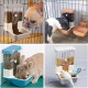 Automatic Pet Feeder 800 ml Adjustable Outlet Feeder Power-Free Suitable for Small Animal Cages Rabbit Hutch Rabbit Cat Puppy Guinea Pig Chinchilla Bird (Grey) Automatic Pet Feeder 800 ml Adjustable Outlet Feeder Power-Free Suitable for Small Animal Cages Rabbit Hutch Rabbit Cat Puppy Guinea Pig Chinchilla Bird (Grey)