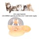 Automatic Pet Water Dispenser, Automatic Gravity Water Dispenser for Cats, Removable Water Bowl for Cats and Dogs, for Kittens, Puppies, Indoor Automatic Pet Water Dispenser, Automatic Gravity Water Dispenser for Cats, Removable Water Bowl for Cats and Dogs, for Kittens, Puppies, Indoor