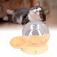 Automatic Pet Water Dispenser, Automatic Gravity Water Dispenser for Cats, Removable Water Bowl for Cats and Dogs, for Kittens, Puppies, Indoor Automatic Pet Water Dispenser, Automatic Gravity Water Dispenser for Cats, Removable Water Bowl for Cats and Dogs, for Kittens, Puppies, Indoor