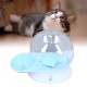 Automatic Pet Water Dispenser, Automatic Gravity Water Dispenser for Cats, Removable Water Bowl for Cats and Dogs, for Kittens, Puppies, Indoor Automatic Pet Water Dispenser, Automatic Gravity Water Dispenser for Cats, Removable Water Bowl for Cats and Dogs, for Kittens, Puppies, Indoor