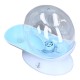 Automatic Pet Water Dispenser, Automatic Gravity Water Dispenser for Cats, Removable Water Bowl for Cats and Dogs, for Kittens, Puppies, Indoor Automatic Pet Water Dispenser, Automatic Gravity Water Dispenser for Cats, Removable Water Bowl for Cats and Dogs, for Kittens, Puppies, Indoor