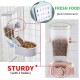 Automatic Rabbit and Small Animal Feeder - Food and Water Bowl with Lid - Ideal for Ferrets, Cats, Birds Automatic Rabbit and Small Animal Feeder - Food and Water Bowl with Lid - Ideal for Ferrets, Cats, Birds