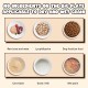 BIZOI Automatic Cat Feeder, Automatic Feeder for Cats, Automatic Feeder Cat Wet Food, Automatic Feeder Dog for Cats, Small Dogs, Wet, Dry Food