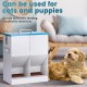 BREUAILY Automatic Cat Feeder for 2 Cats, 10 L Automatic Feeder, Cat Dry Food with Double Funnel, Gravity Cat Feeder for Small Dogs, Cats BREUAILY Automatic Cat Feeder for 2 Cats, 10 L Automatic Feeder, Cat Dry Food with Double Funnel, Gravity Cat Feeder for Small Dogs, Cats