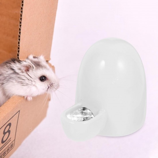Baluue Automatic Pet Water Bottle Water Dispenser for Small Animals Ceramic Water Dispenser for Bird Hedgehog Hamster Cat Food Bowl Baluue Automatic Pet Water Bottle Water Dispenser for Small Animals Ceramic Water Dispenser for Bird Hedgehog Hamster Cat Food Bowl