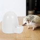 Baluue Automatic Pet Water Bottle Water Dispenser for Small Animals Ceramic Water Dispenser for Bird Hedgehog Hamster Cat Food Bowl Baluue Automatic Pet Water Bottle Water Dispenser for Small Animals Ceramic Water Dispenser for Bird Hedgehog Hamster Cat Food Bowl