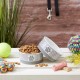 Bone Dry, Pet Bowl, Removable Silicone Ring, Non-Slip Base, Safe Feeding, Less Mess, Microwave and Dishwasher Safe, Single Bowl, Small Set, 4.25 x 2 Inch, Grey, Pack of 2 Bone Dry, Pet Bowl, Removable Silicone Ring, Non-Slip Base, Safe Feeding, Less Mess, Microwave and Dishwasher Safe, Single Bowl, Small Set, 4.25 x 2 Inch, Grey, Pack of 2