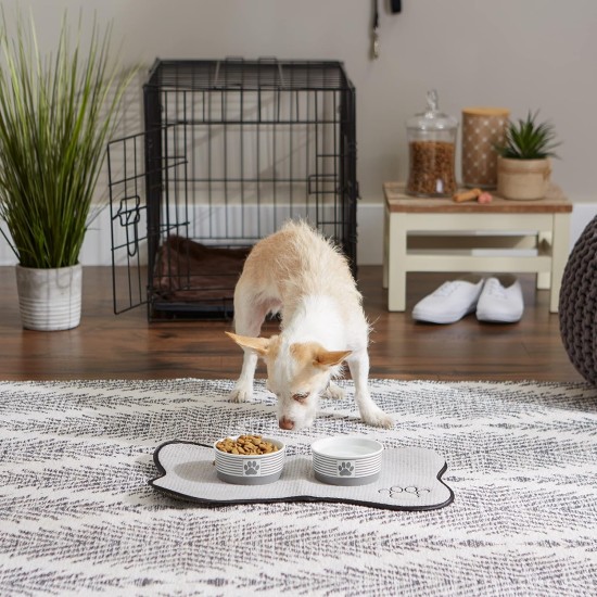 Bone Dry, Pet Bowl, Removable Silicone Ring, Non-Slip Base, Safe Feeding, Less Mess, Microwave and Dishwasher Safe, Single Bowl, Small Set, 4.25 x 2 Inch, Grey, Pack of 2 Bone Dry, Pet Bowl, Removable Silicone Ring, Non-Slip Base, Safe Feeding, Less Mess, Microwave and Dishwasher Safe, Single Bowl, Small Set, 4.25 x 2 Inch, Grey, Pack of 2
