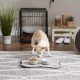 Bone Dry, Pet Bowl, Removable Silicone Ring, Non-Slip Base, Safe Feeding, Less Mess, Microwave and Dishwasher Safe, Single Bowl, Small Set, 4.25 x 2 Inch, Grey, Pack of 2 Bone Dry, Pet Bowl, Removable Silicone Ring, Non-Slip Base, Safe Feeding, Less Mess, Microwave and Dishwasher Safe, Single Bowl, Small Set, 4.25 x 2 Inch, Grey, Pack of 2