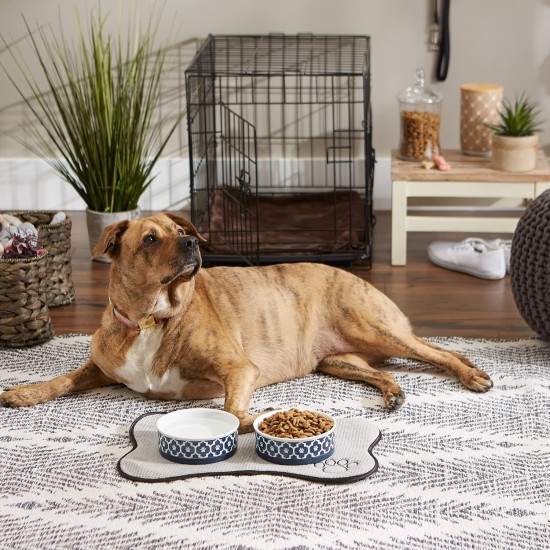Bone Dry, Pet Bowl, Removable Silicone Ring, Non-Slip Base, Safe Feeding, Less Mess, Microwave and Dishwasher Safe, Single Bowl, Small Set, 4.25 x 2 Inch, Grey, Pack of 2 Bone Dry, Pet Bowl, Removable Silicone Ring, Non-Slip Base, Safe Feeding, Less Mess, Microwave and Dishwasher Safe, Single Bowl, Small Set, 4.25 x 2 Inch, Grey, Pack of 2