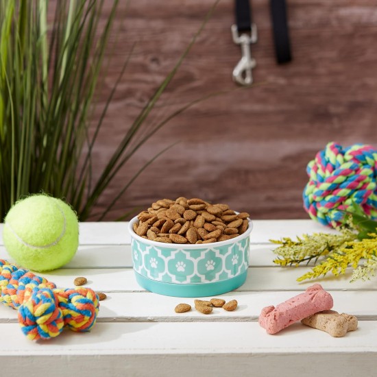 Bone Dry, Pet Bowl, Removable Silicone Ring, Non-Slip Base, Safe Feeding, Less Mess, Microwave and Dishwasher Safe, Single Bowl, Small Set, 4.25 x 2 Inch, Grey, Pack of 2 Bone Dry, Pet Bowl, Removable Silicone Ring, Non-Slip Base, Safe Feeding, Less Mess, Microwave and Dishwasher Safe, Single Bowl, Small Set, 4.25 x 2 Inch, Grey, Pack of 2