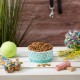 Bone Dry, Pet Bowl, Removable Silicone Ring, Non-Slip Base, Safe Feeding, Less Mess, Microwave and Dishwasher Safe, Single Bowl, Small Set, 4.25 x 2 Inch, Grey, Pack of 2 Bone Dry, Pet Bowl, Removable Silicone Ring, Non-Slip Base, Safe Feeding, Less Mess, Microwave and Dishwasher Safe, Single Bowl, Small Set, 4.25 x 2 Inch, Grey, Pack of 2